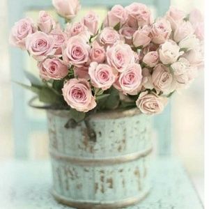 Meet your Posher, Barbara